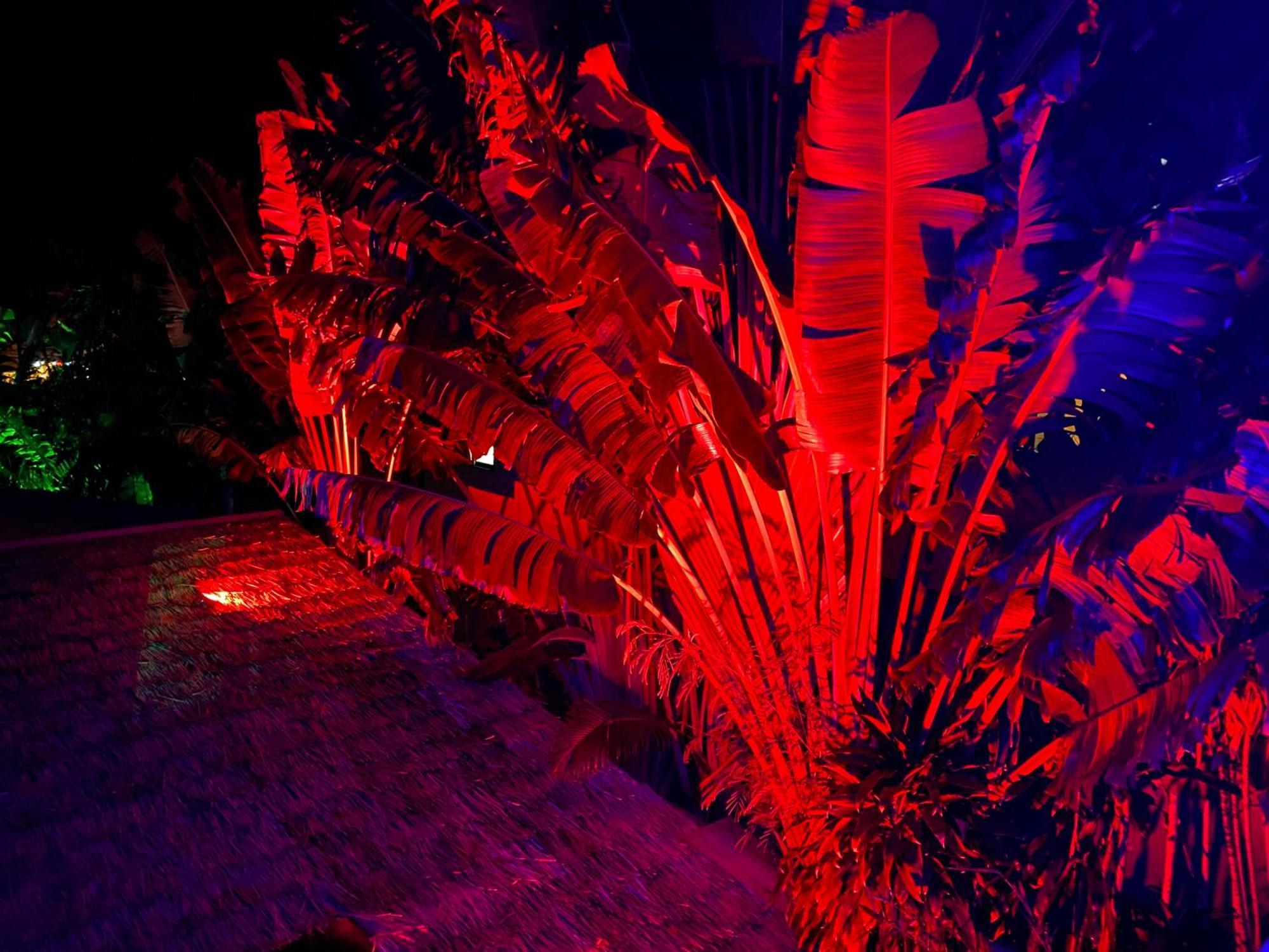 Stunning Villa With Ocean Views And Free Car Lamai Beach  Luaran gambar